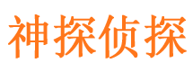 无极市侦探公司